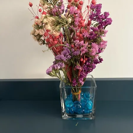 בית הארחה Era 36 דורס