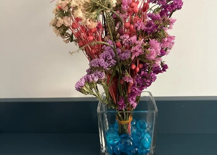 Affittacamere Era 36 Durrës